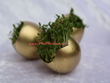 Goldene Ostereier mit Kresse